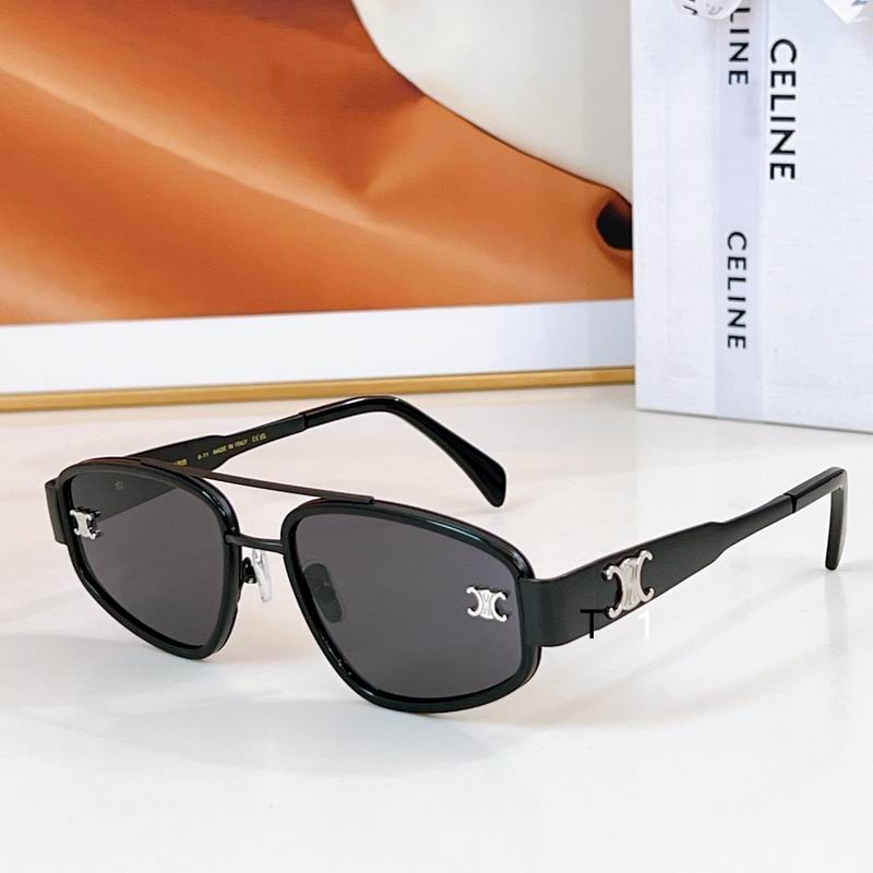 Celine Sunglasses ID:20250816-148